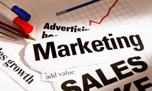 Why is the Voice of the Customer Important